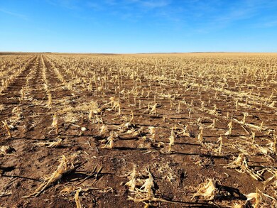 Road 33w, Bushnell, NE 69145 - photo 2
