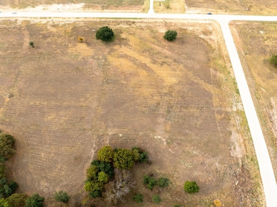 5007 Stover Way, Granbury, TX 76049 - photo 5