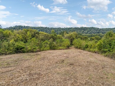 0 Shoal Creek Rd unit RTC3033109, Goodspring, TN 38460 - photo 5