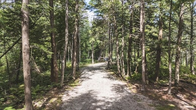 2349 Muskegon Rd, Harrison, MI 48625 - photo 6