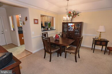 8611 Wintergreen Ct unit 405, Odenton, MD 21113 - photo 5