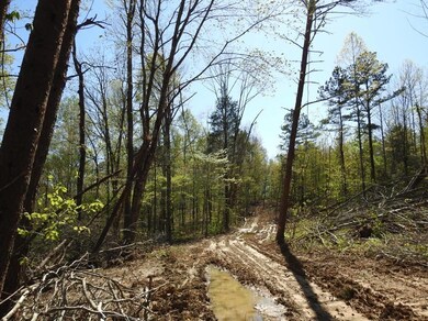 901 Ben Baker, Somerset, KY 42501 - photo 6