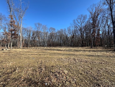 14775 Stutz St NE, Ham Lake, MN 55304 - photo 2