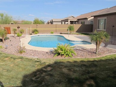 Back yard 2