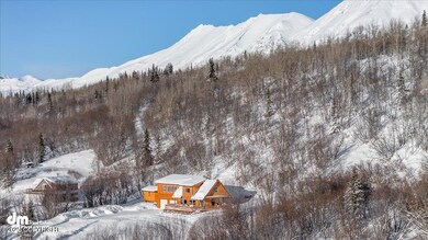 45161 W Glenn Hwy, Chickaloon, AK 99674 - photo 6
