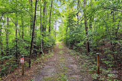 2361 Lake Forest Cove unit 13, Nebo, NC 28761 - photo 3