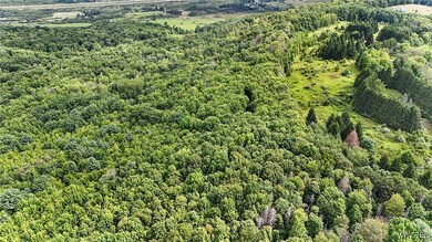 00 Beebe Hill Rd, Cuba, NY 14727 - photo 7