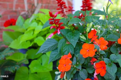 815 14th St W, Williston, ND 58801 - photo 5