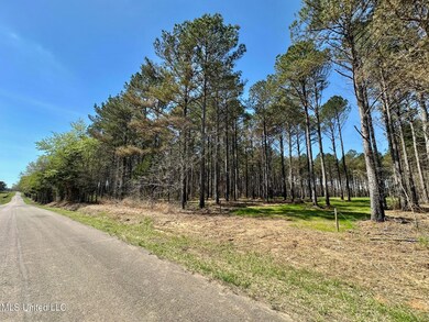 0 Morgan Rd, Canton, MS 39046 - photo 2