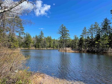 0 Nh Route 16 unit 4860259, Albany, NH 03818 - photo 5