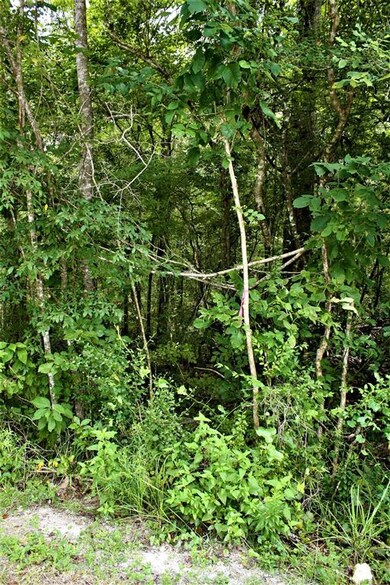 Lot 5 River Plantation Rd, Crawfordville, FL 32327 - photo 3