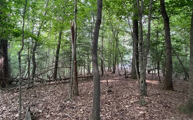 Additional View