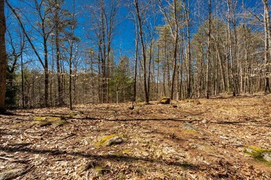 1006 Browns Way, Henniker, NH 03242 - photo 6