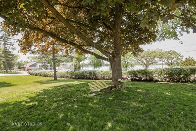 Relax on your swing under the shade of a tree