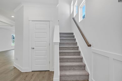 623 Thunder Gulch Ave, Lexington, SC 29073 - photo 3