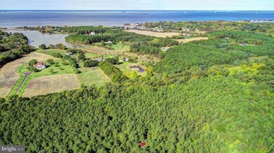 0 Touhey Dr unit MDQA2007656, Kent Island, MD 21666 - photo 5