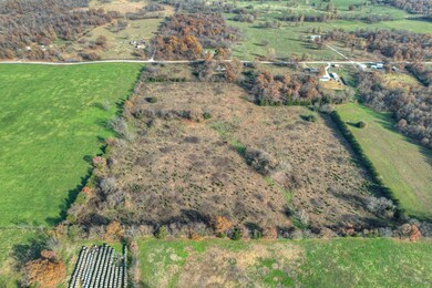 21214 Raccoon Rd, Stella, MO 64867 - photo 7