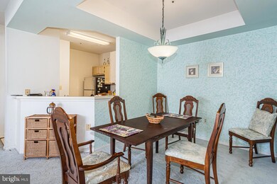 8808 Groffs Mill Dr, Owings Mills, MD 21117 - photo 7