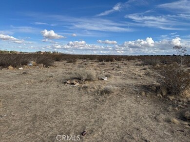 0 166th St E unit SR25271993, Lancaster, CA 93535 - photo 3
