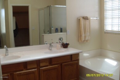 MASTER BATHROOM SINK