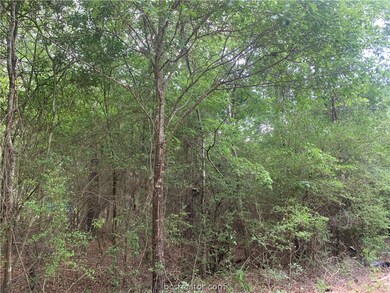 001 Pin Oak Dr, Plantersville, TX 77363 - photo 3