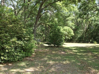 other side of front lawn