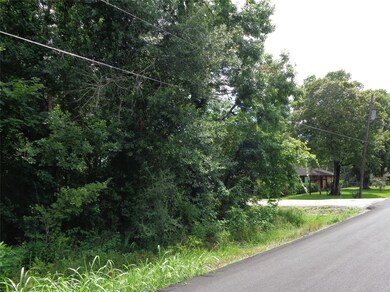 0 Bay Ct unit 98964112, Brazoria, TX 77422 - photo 4