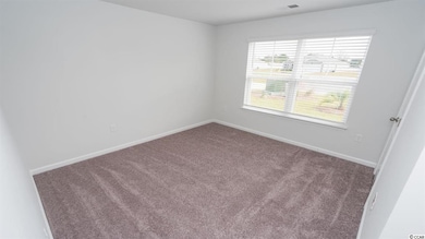 316 Spruce Pine Way unit Lot 158 - Cali A, Conway, SC 29526 - photo 4