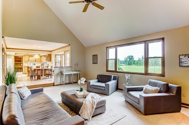 full_size_20004392-007