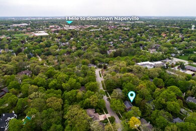 949 Elizabeth Ave, Naperville, IL 60540 - photo 2