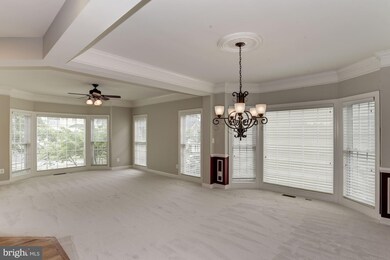 42076 Foley Headwaters St, Aldie, VA 20105 - photo 3