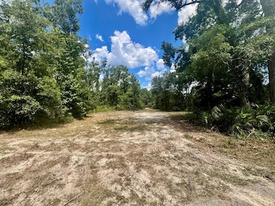 0 SW 50th Ln, Cross City, FL 32628 - photo 4