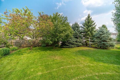 Private Backyard