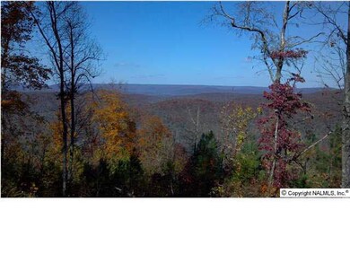 731 Winkles Rd, Grant, AL 35747 - photo 5