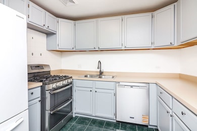 16B Kingery Quarter unit 208, Willowbrook, IL 60527 - photo 6