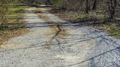 4836 Lillie Ln, Ooltewah, TN 37363 - photo 4