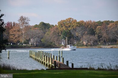 23746 Mount Pleasant Landing Cir, Saint Michaels, MD 21663 - photo 4