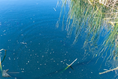 12014 A S Fm 600, Abilene, TX 79601 - photo 4