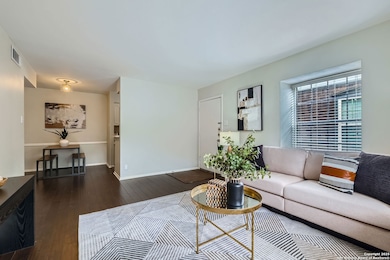 1045 Shook Ave unit 111, San Antonio, TX 78212 - photo 4