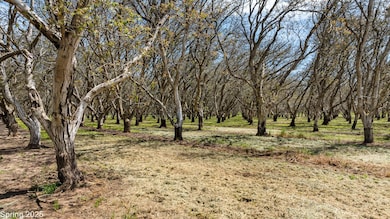 5210 N Fine Rd, Linden, CA 95236 - photo 6