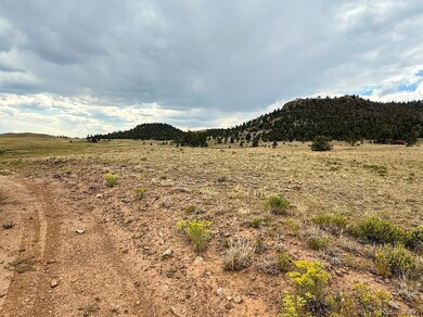 0 Cherokee Trail unit REC6368935, Hartsel, CO 80449 - photo 7