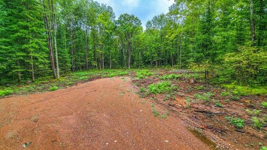 ON Sanctuary Rd, Tomahawk, WI 54487 - photo 2