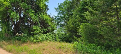 0000 Old Sadler Rd, Sadler, TX 76264 - photo 7