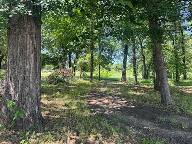 View of nature