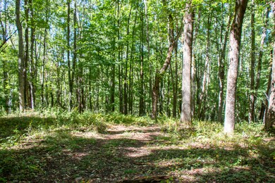 13.37 Acres - Rhymer Road, Damascus, VA