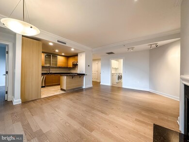 The Ritz-Carlton Residences, Baltimore, MD 21230 - photo 6