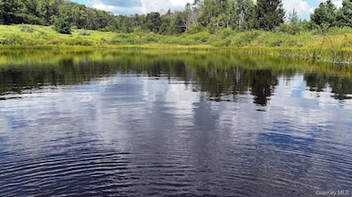 3392 Eminence Rd, Hancock, NY 13783 - photo 3