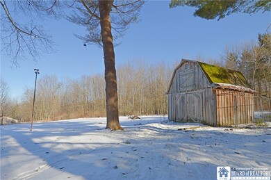 Barn/shed with dog pen