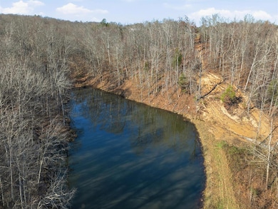 0 Millshed Rd unit RA20256885, Morgantown, KY 42261 - photo 3