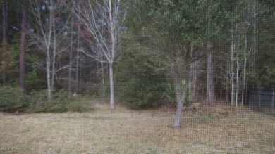 C:\fakepath\100_4541